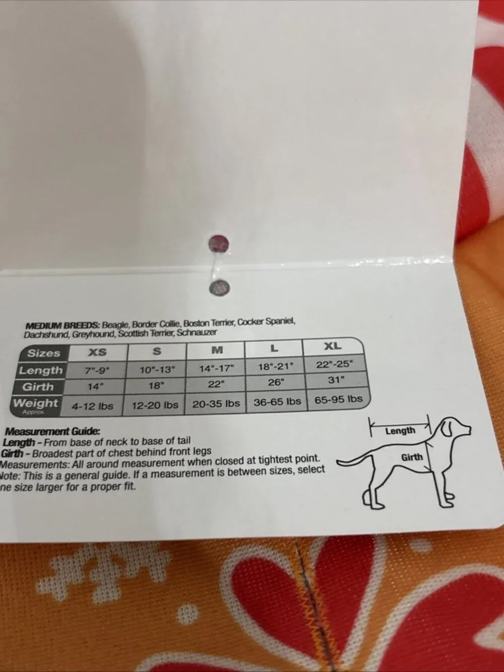 Master Paws master paws